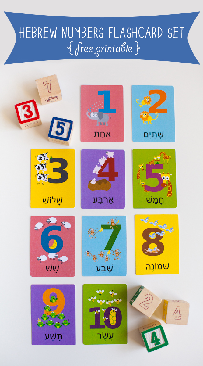 Gus on the Go Hebrew Numbers Flashcard Printable