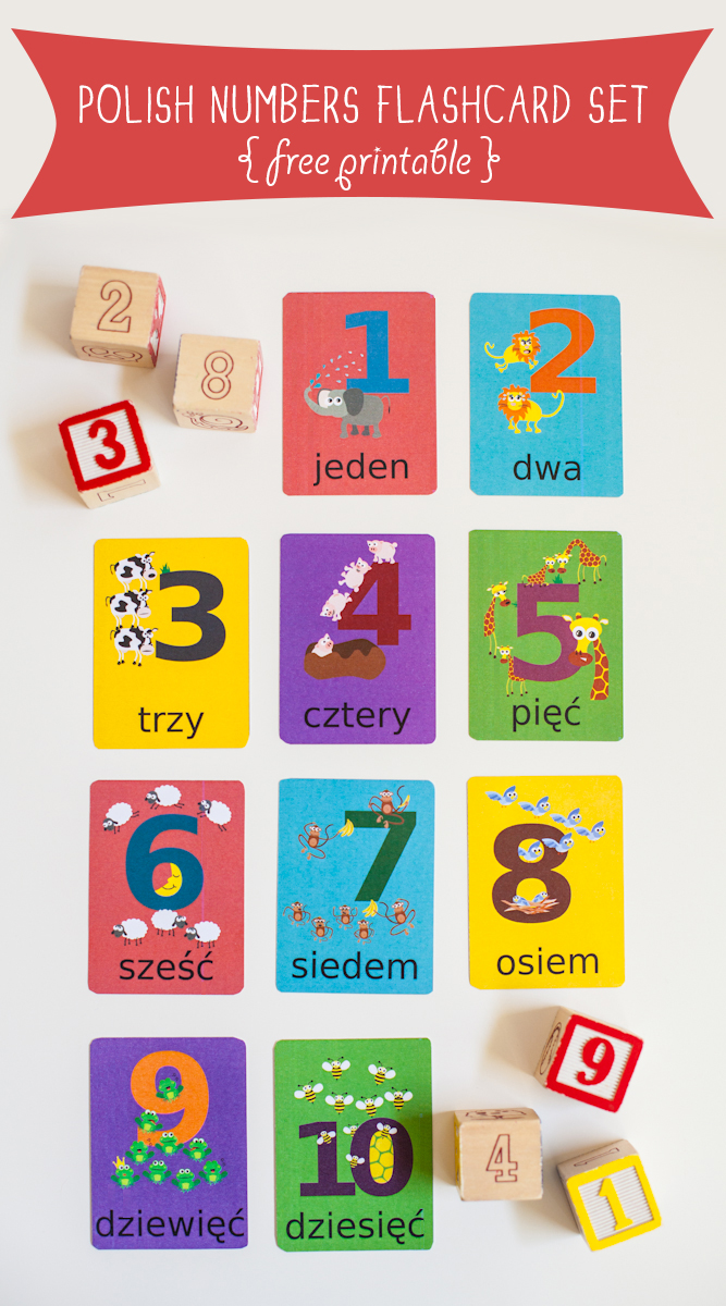 Gus on the Go Polish Numbers Flashcard Printable