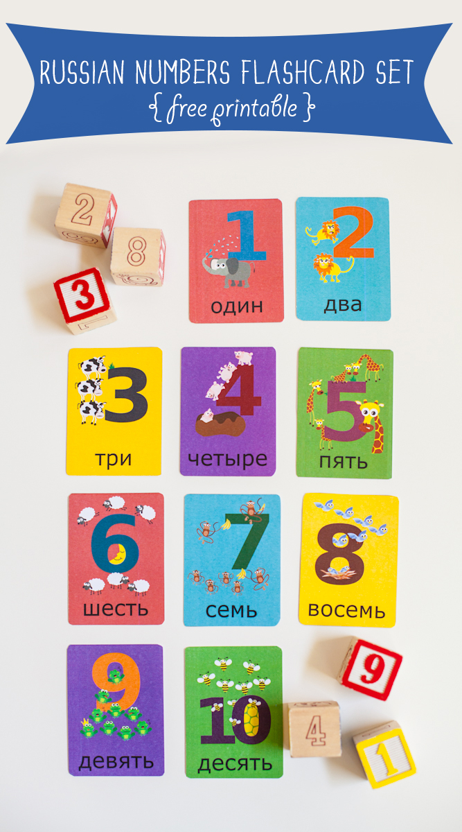 Gus on the Go Russian Numbers Flashcard Printable