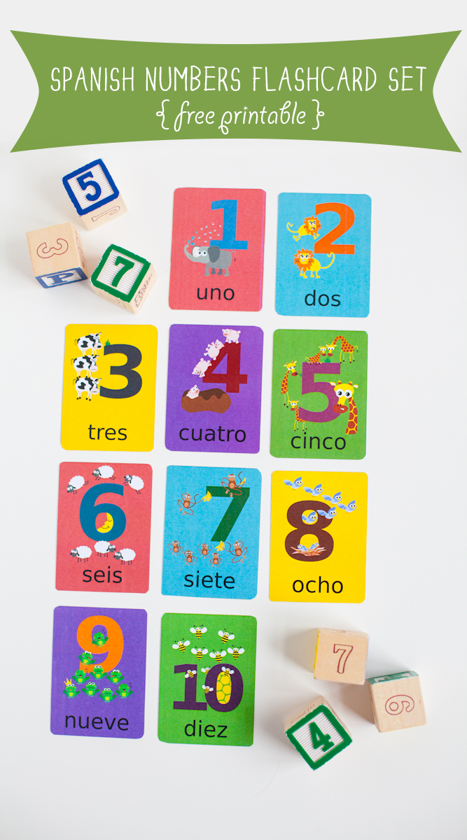 Gus on the Go Spanish Numbers Flashcard Printable